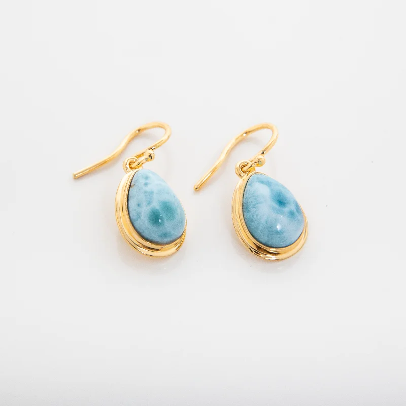 Ladies gemstone drop earrings-Gold Vermeil Earrings Dani