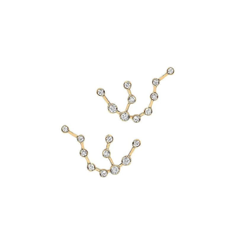 Ladies fine silver earrings-Baby Aquarius Constellation Studs